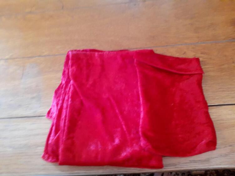 Taro bag and clothRed velvet