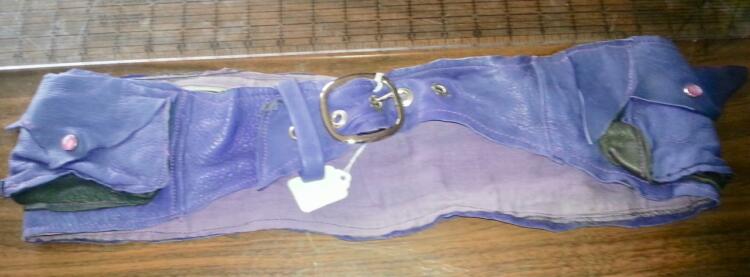 Hip Belt